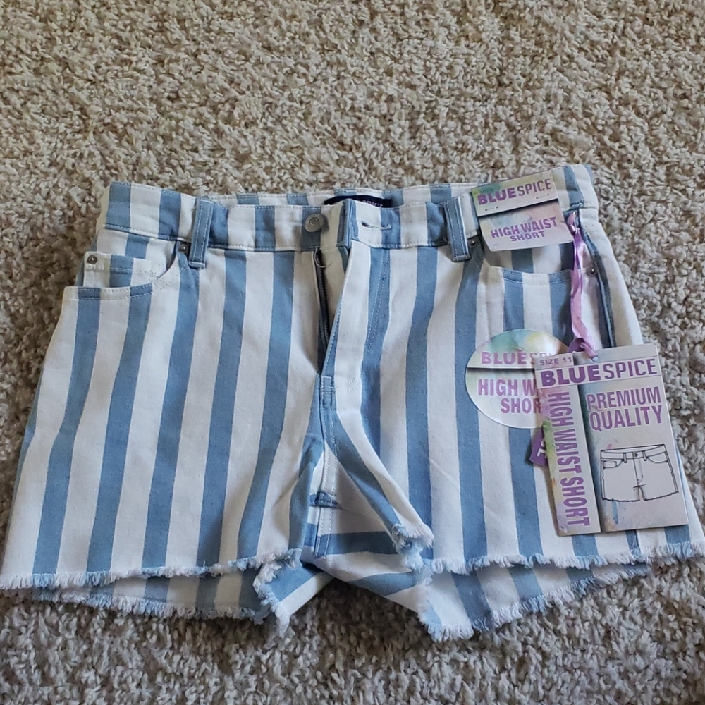 Blue Spice shorts